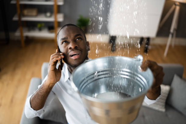 Best Water damage restoration insurance claims  in , CO
