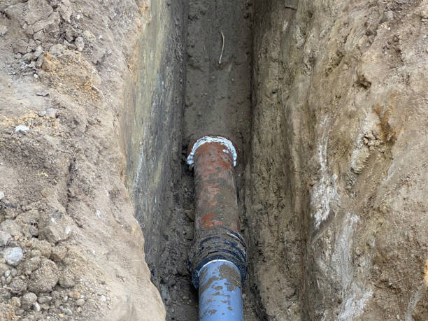 Best 24/7 water damage repair  in , CO