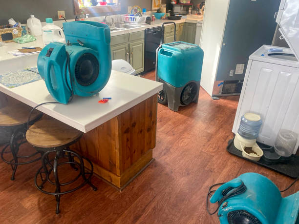 Best Water damage restoration near me  in , CO