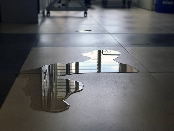 Best Water damage cleanup near me  in , CO