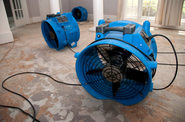 Best Flood damage cleanup  in , CO