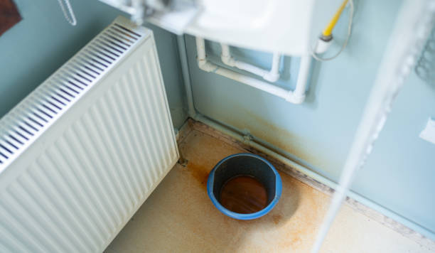 Best Water damage restoration near me  in , CO