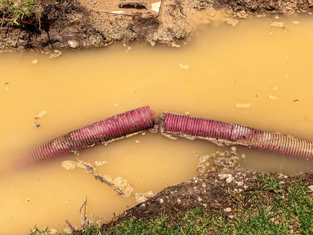 Best Commercial water damage restoration  in , CO