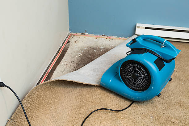 Best Water damage restoration near me  in , CO